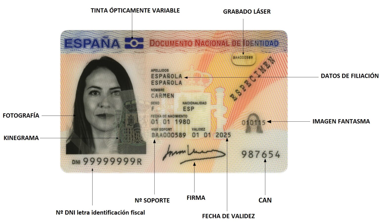 Cómo solicitar la renovación del DNI desde cada si tienes dificultad para desplazarte