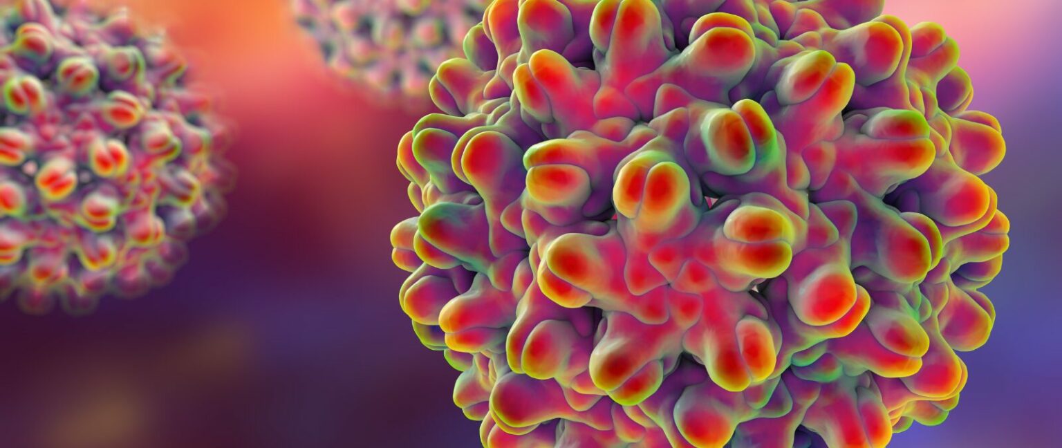 ¿Qué es la hepatitis B?