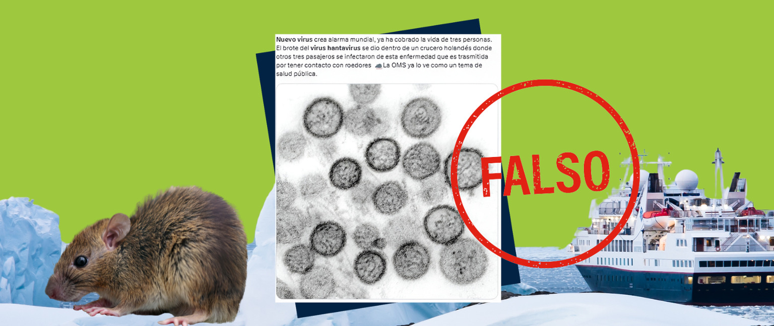 Hantavirus: ni nuevo ni desconocido