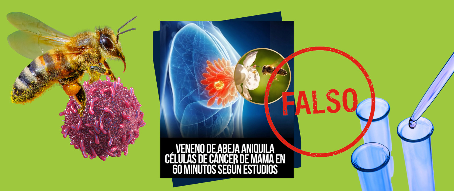 El veneno de abeja no cura el cáncer de mama ni ningún otro tumor