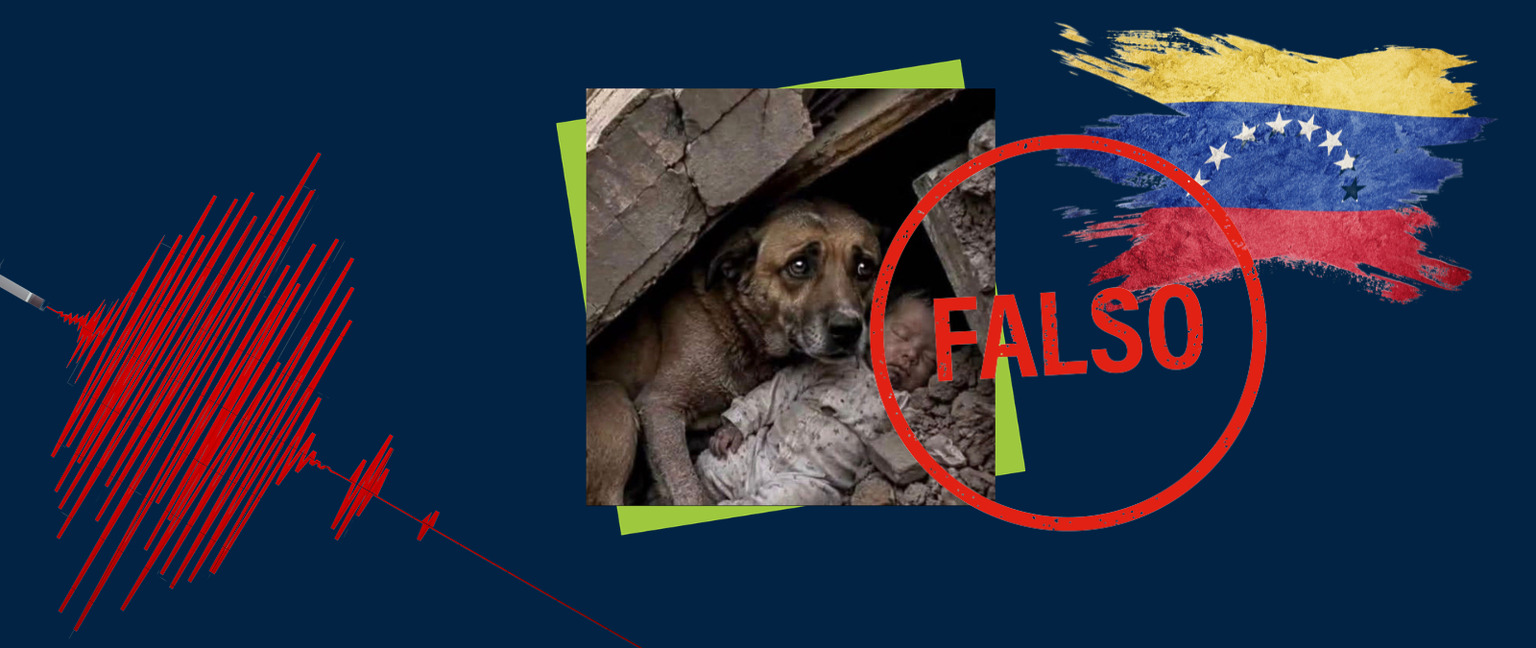Esta imagen de un perro protegiendo a un bebé entre los escombros tras los terremotos de Venezuela no es real