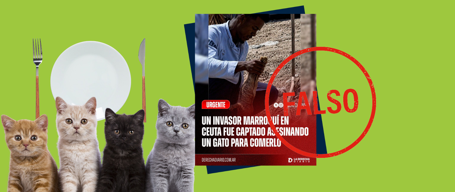 Cuidado con esta imagen que muestra a un inmigrante con un gato muerto en la mano en Ceuta: no es real