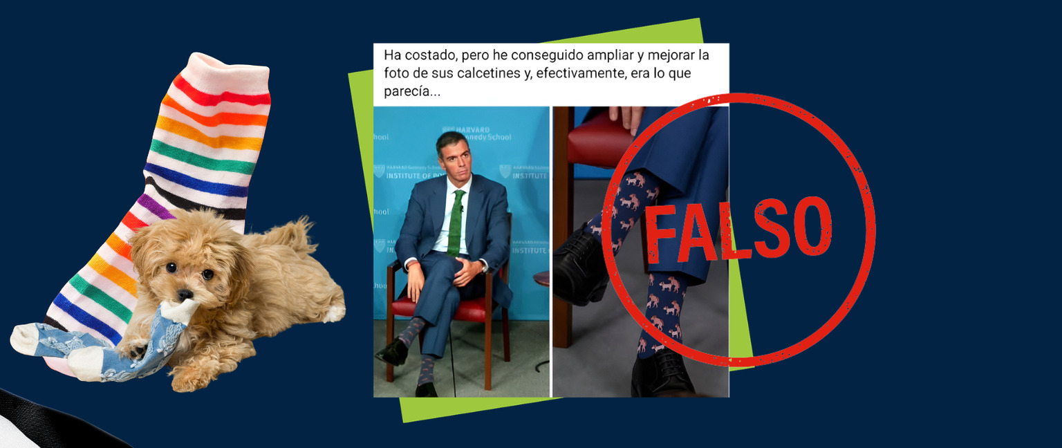 Es falso que Pedro Sánchez luciera unos calcetines con perros estampados durante su intervención en un foro de la Universidad de Harvard